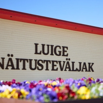 Luige näitusteväljak